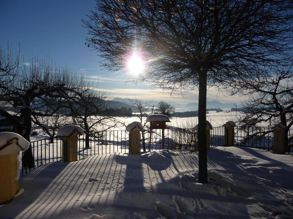 Ferienhotel Herzog Neumarkt am Wallersee Εξωτερικό φωτογραφία